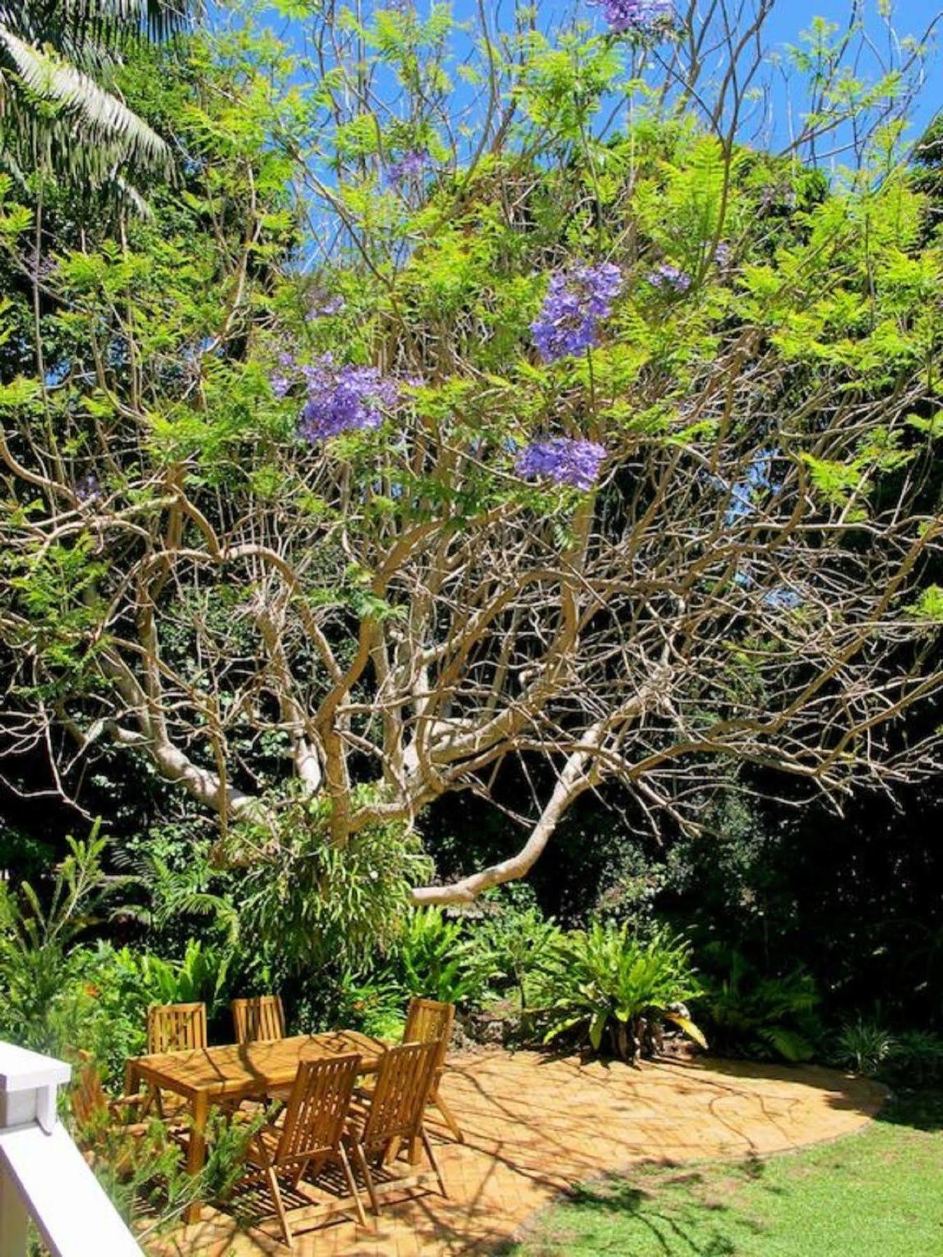 Lord Howe Island Beachcomber Lodge المظهر الخارجي الصورة